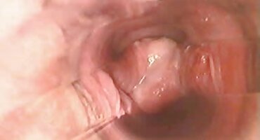 Doveo sam svoju porno filmovi gratis djevojku, sada ćemo sisati moj muž penis zajedno!.