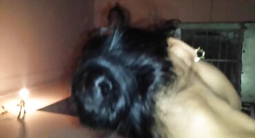 Sise filmovixxx drolja naginje hahal ševe na datum.