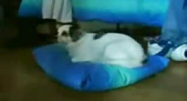 Djevojka uvijek poro filmovi daje američkom mužu.